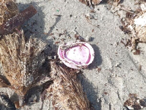 Tapa de plástico rosa arrugada