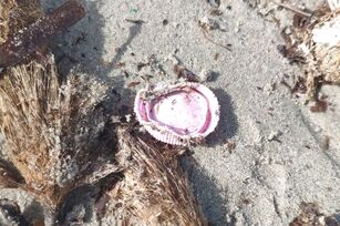 Tapa de plástico rosa arrugada