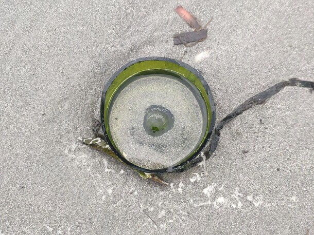 El fondo de la botella de vidrio es verde.