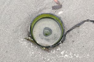 El fondo de la botella de vidrio es verde.