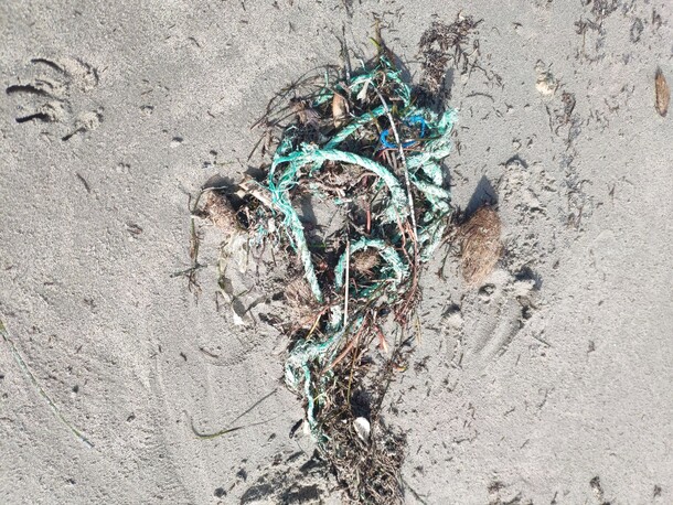 Restos de cuerda de plástico verde.
