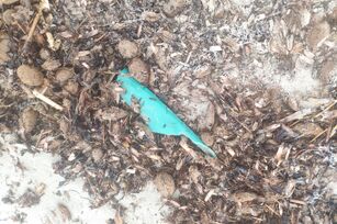 Fragmento de plástico azul