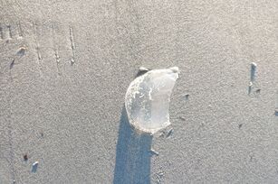 Vidrio blanco de una botella.