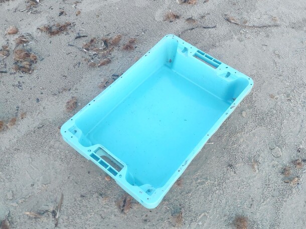 Palet de plástico azul