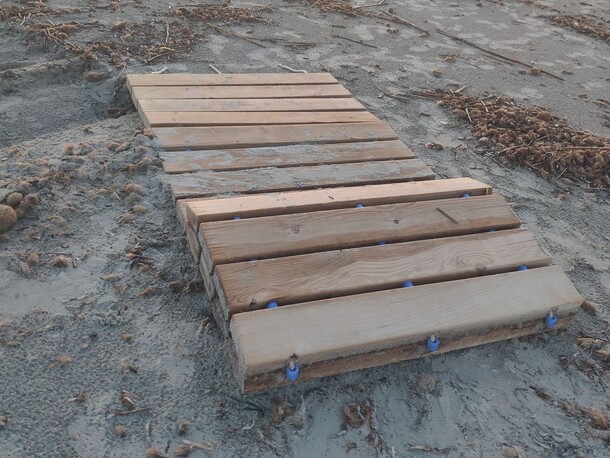 Pasarela de playa de madera